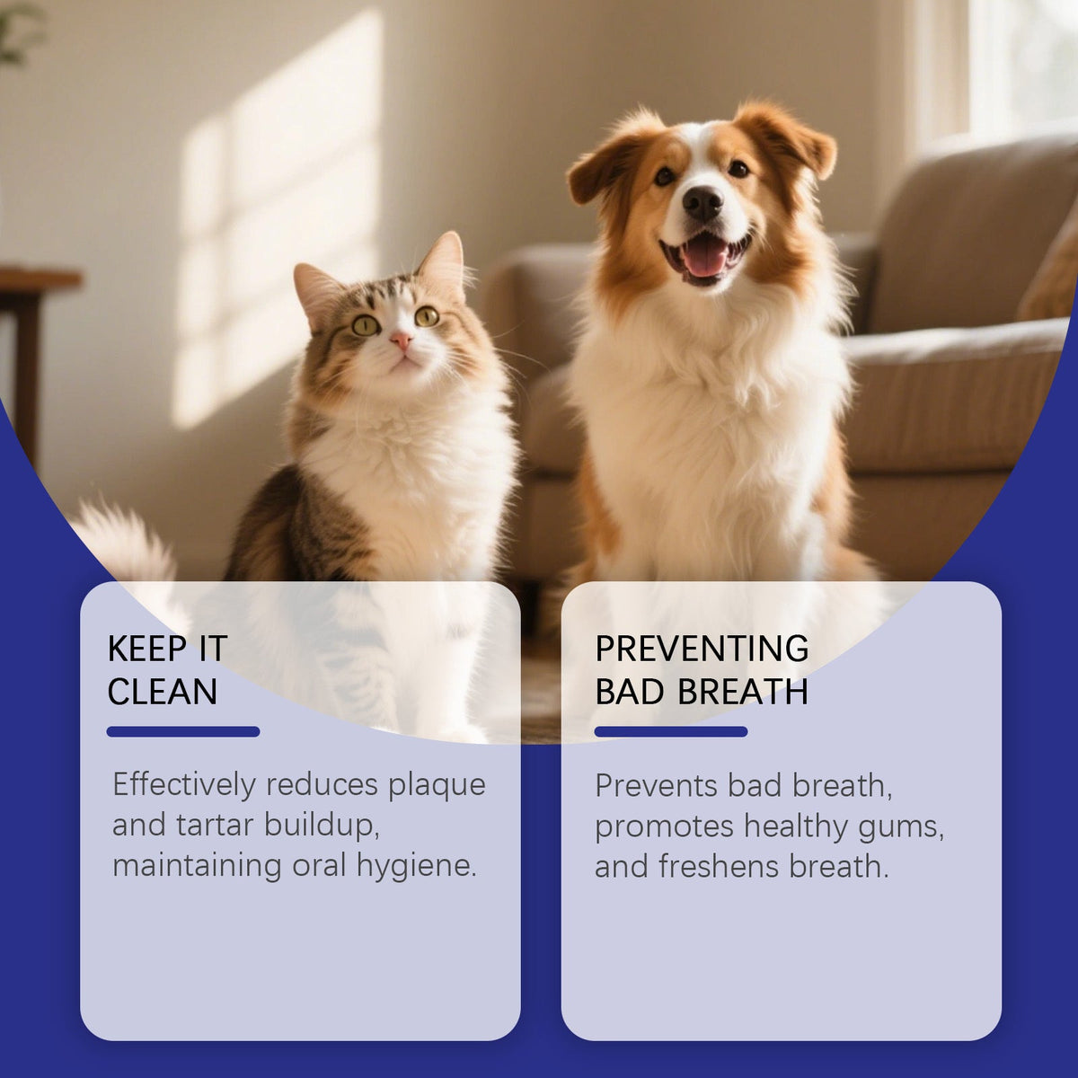 YEGBONG Oral Spray for Dogs and Cats, 100ml, Pet Oral Care, Oral Care Product for Daily Oral Care