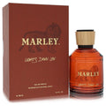 Marley Fragrance Lights Down Low Eau de Parfum — 3.4 oz