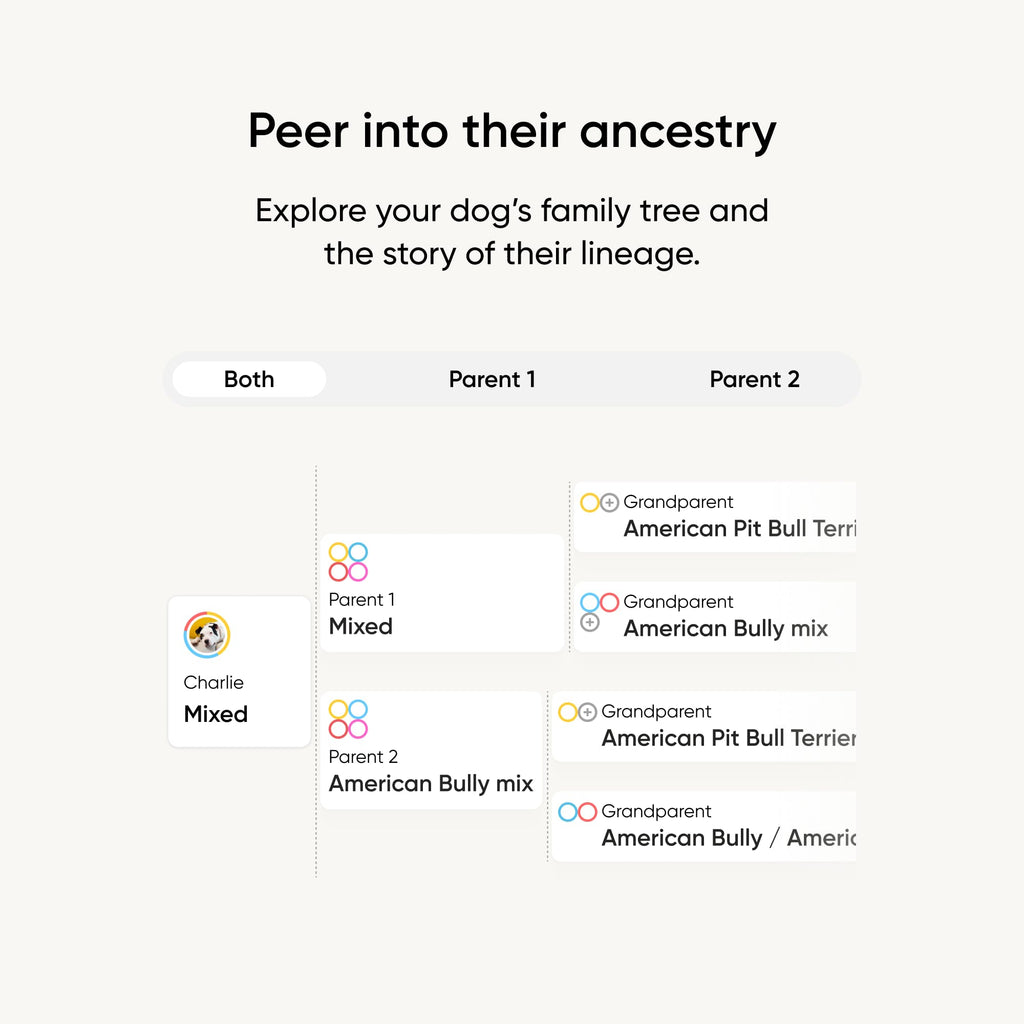 Know Your Best Friend - Embark Breed ID Dog DNA Test Kit