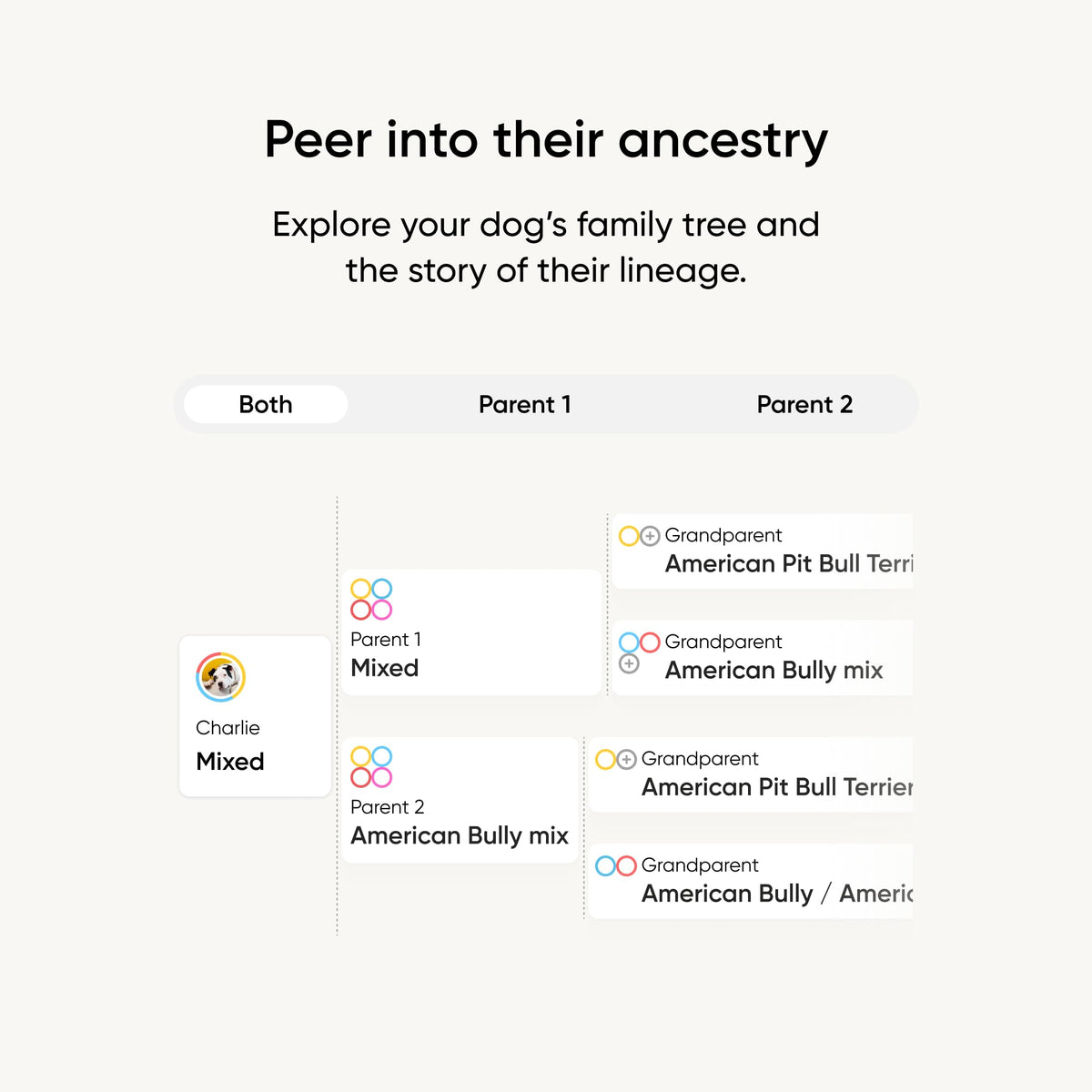 Know Your Best Friend - Embark Breed ID Dog DNA Test Kit
