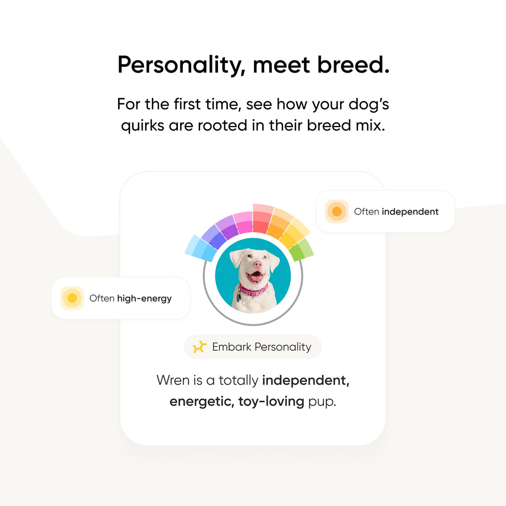 Know Your Best Friend - Embark Breed ID Dog DNA Test Kit