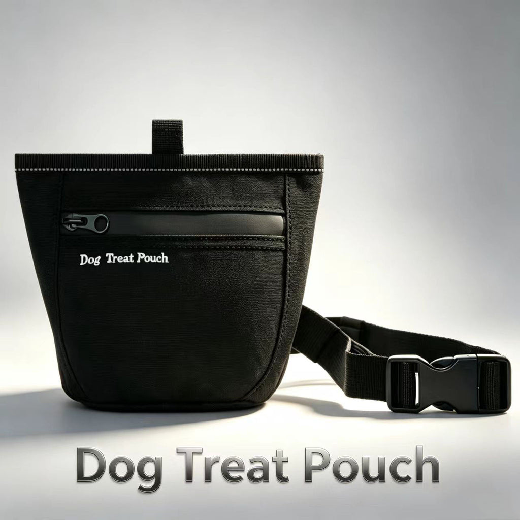 Waterproof Large-Capacity Training Dog-Walking Treat Pouch Portable Waist-Hanging Feeding Bag