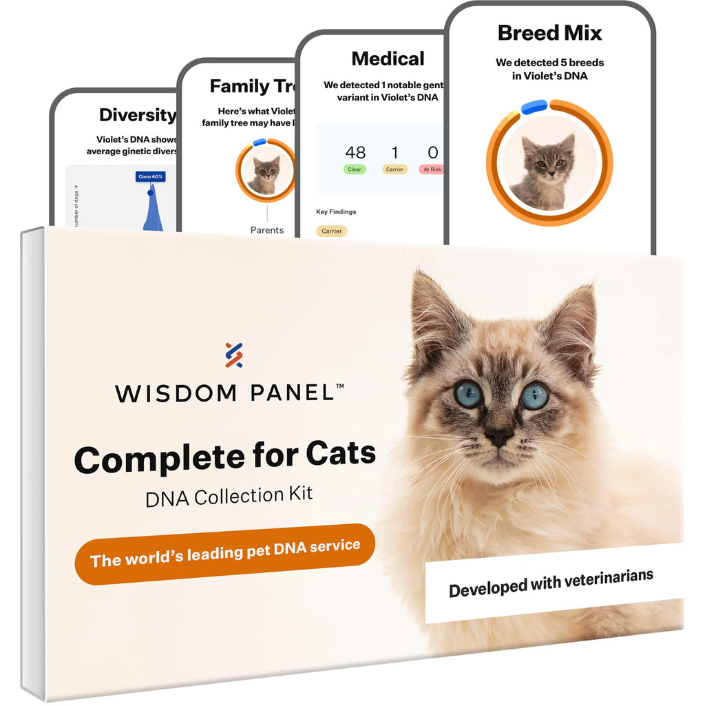 Cracked the Code - Wisdom Panel Cat DNA Test