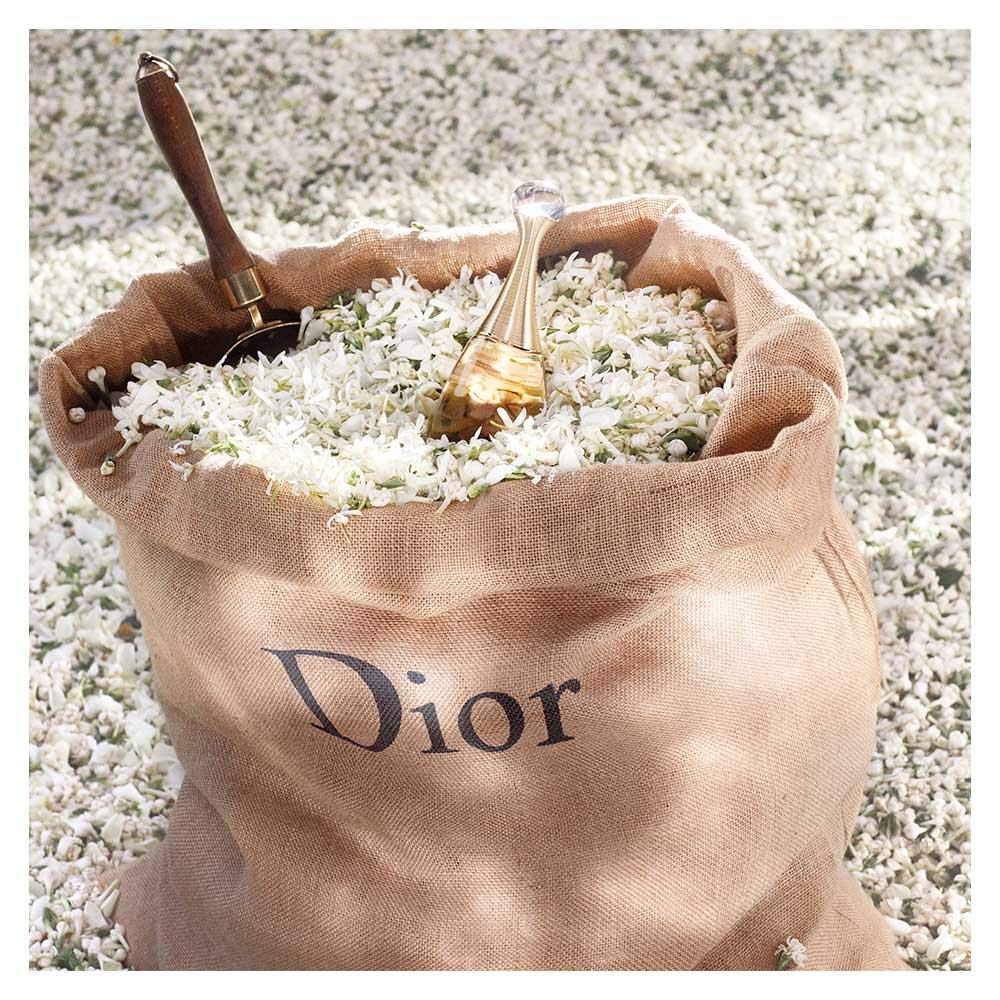 Christian Dior Jadore By Christian Dior For Women. Eau De Parfum Spray 3.4 Ounces