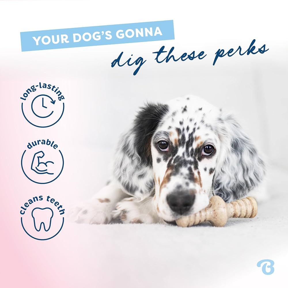 Puppy Chew Duo – Maplestick & Zaggler 2-Pack