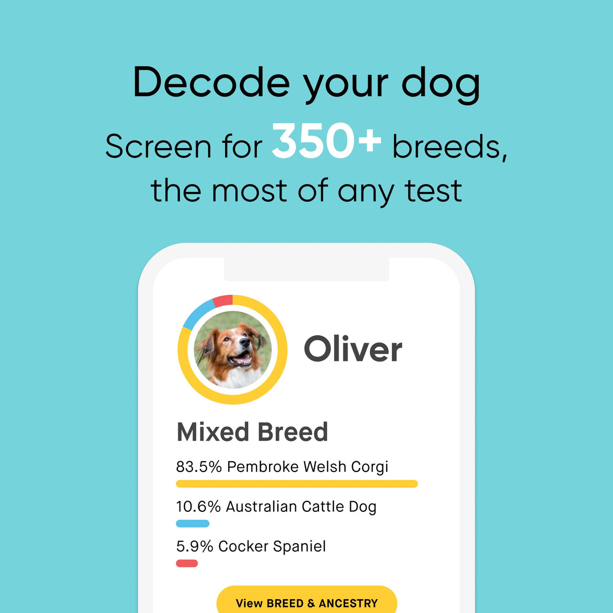 Know Your Best Friend - Embark Breed ID Dog DNA Test Kit