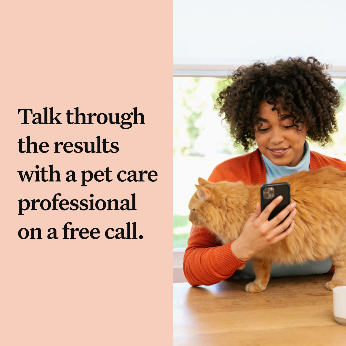 Cracked the Code - Wisdom Panel Cat DNA Test