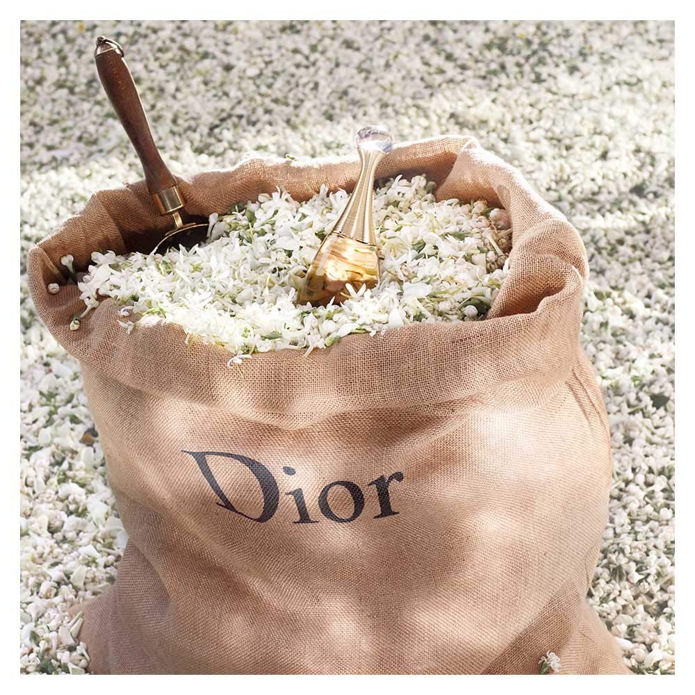 Christian Dior Jadore By Christian Dior For Women. Eau De Parfum Spray 3.4 Ounces