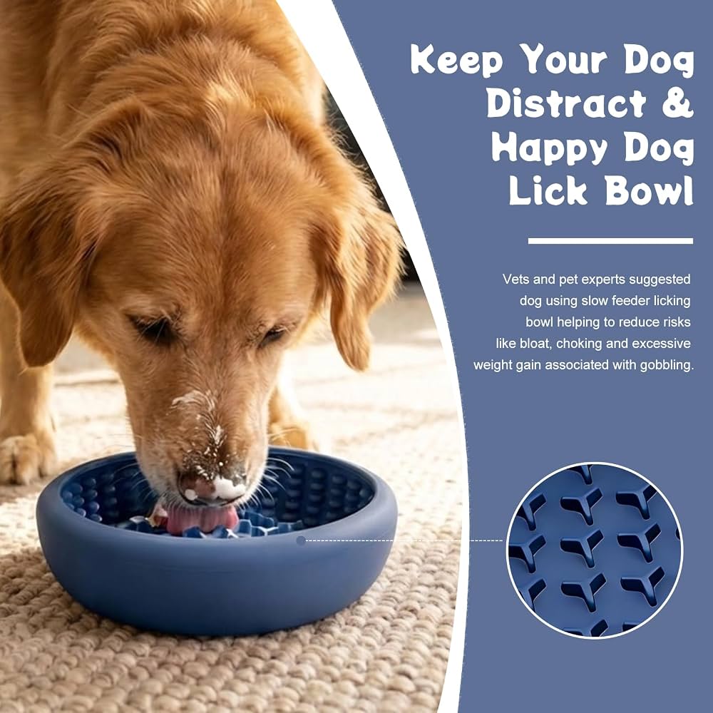 Lick & Chill Bowl – Silicone Slow Feeder