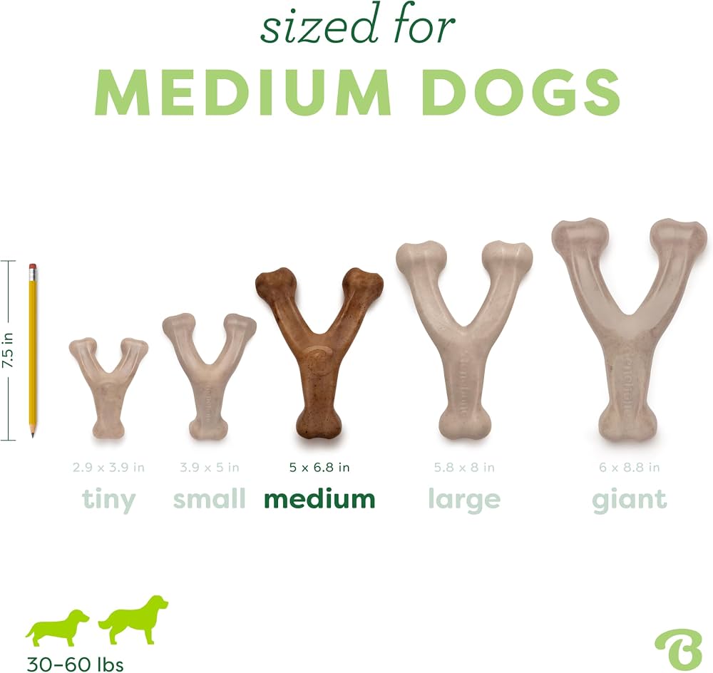 Bacon Wishbone Bliss – Durable Dog Chew Toy