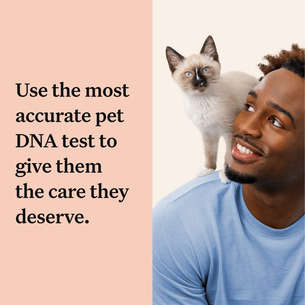 Cracked the Code - Wisdom Panel Cat DNA Test