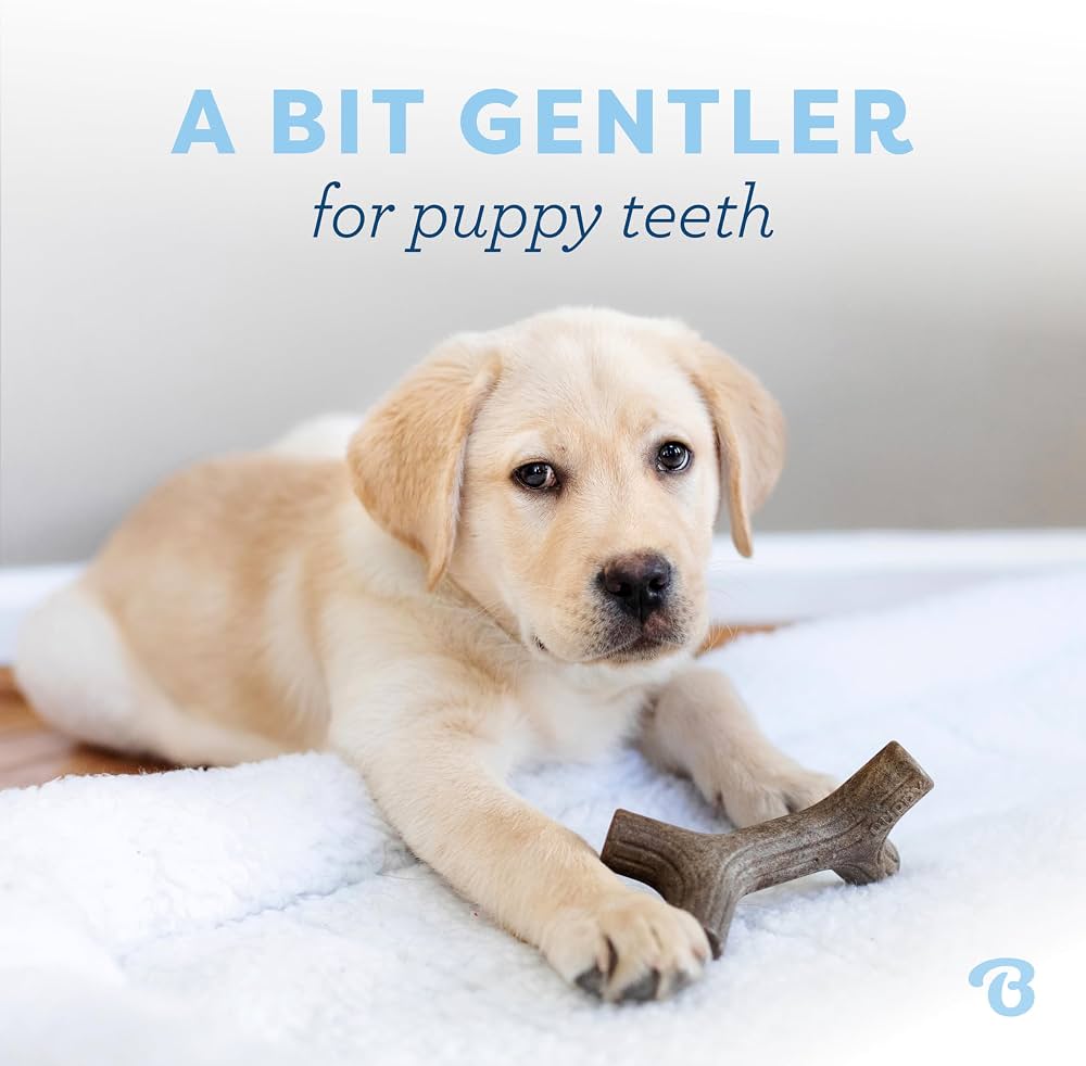 Puppy Chew Duo – Maplestick & Zaggler 2-Pack