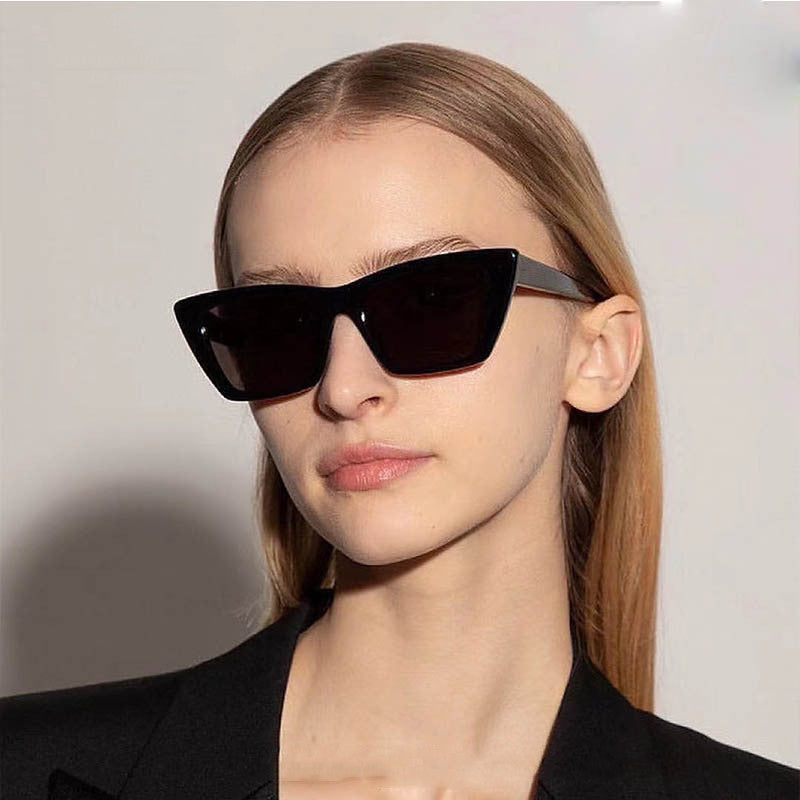 Women's Cat Eye Personality Big Frame Glasses Frame
