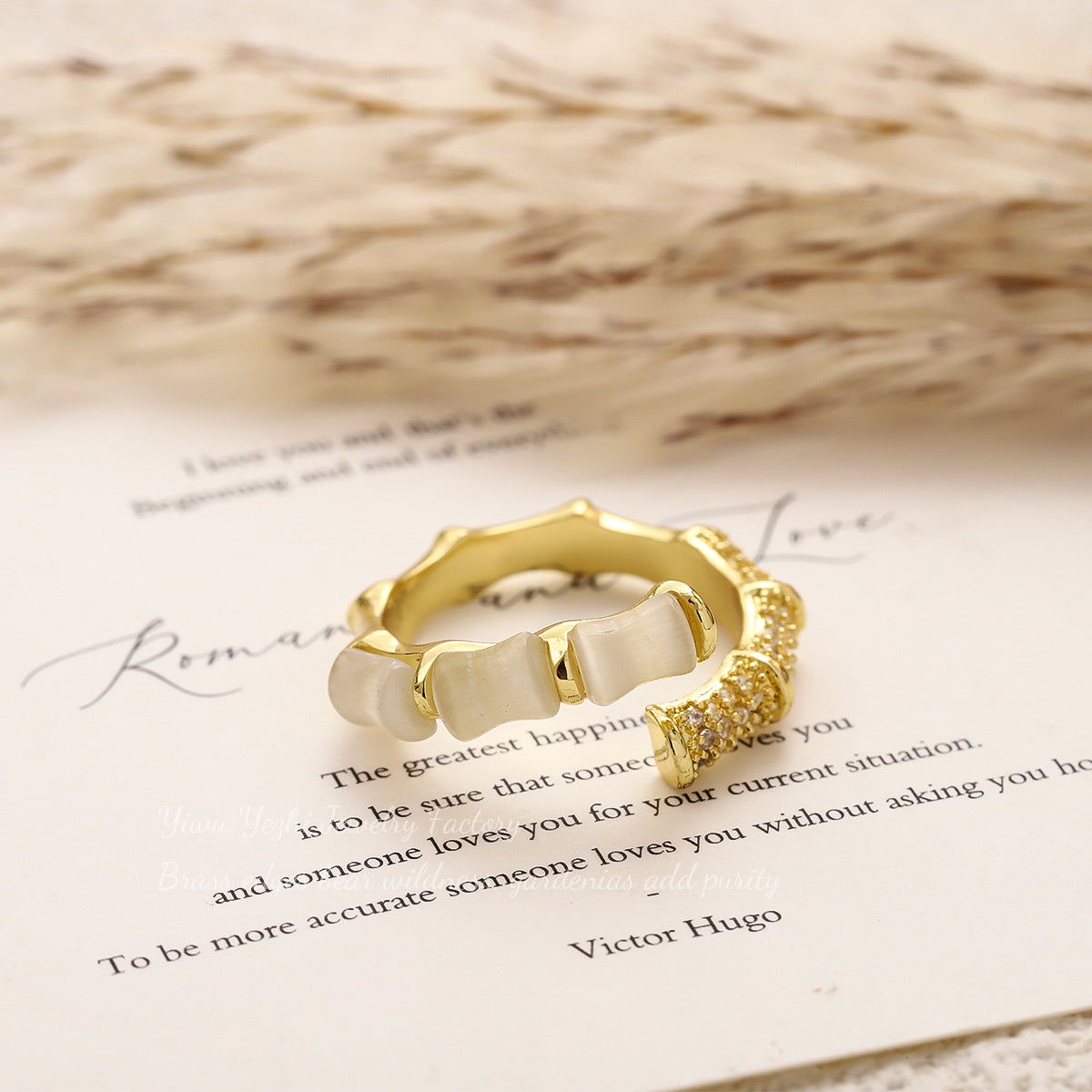 Light Luxury And High-End Micro-Paved Zircon Cat's Eye Bamboo Ring Design Internet Celebrity Index Finger Ring Exquisite Ring Tail Ring For Women