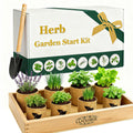 Indoor Herb Garden Start Kit - Unique Gifts for Women, Mothers Day Gifts, Easy House Plant- Birthday for Women,House Warming Gift New Home- Fresh Herb Garden DIY Crafts for Adults