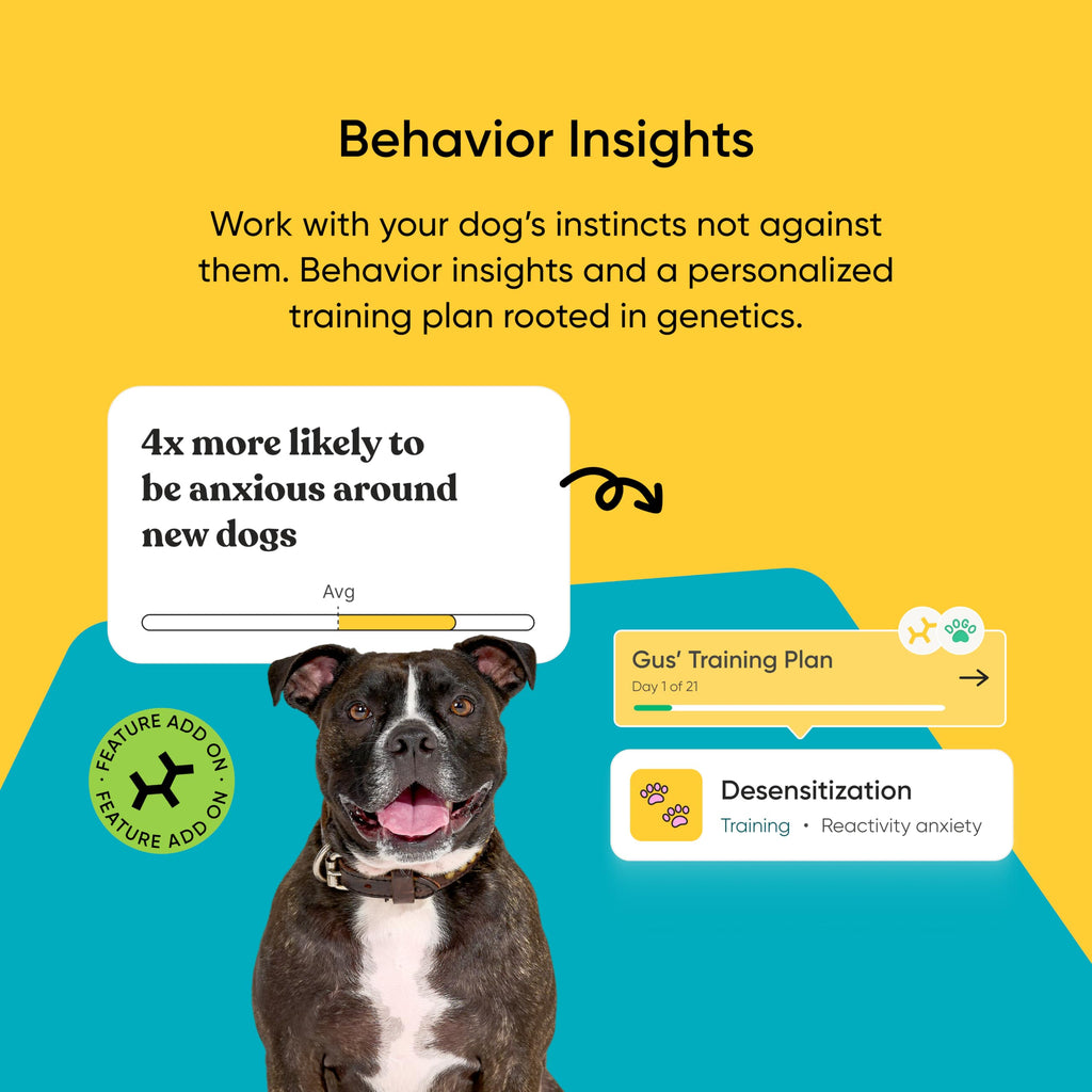 Know Your Best Friend - Embark Breed ID Dog DNA Test Kit