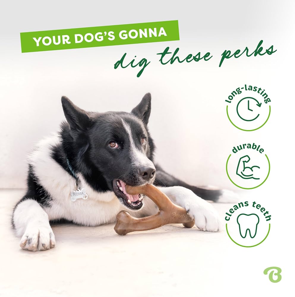 Bacon Wishbone Bliss – Durable Dog Chew Toy