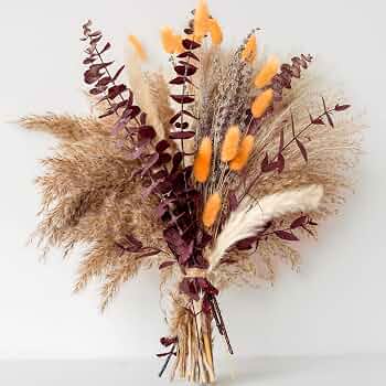 Autumn Bouquet – Dried Pampas & Bunny Tail Arrangement