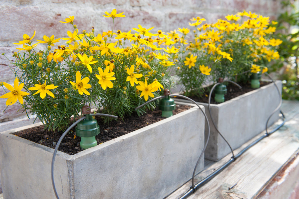 Blumat Automatic Watering Kit – 12 Plant Set